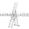 Extention Ladder 2
