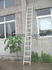 straight ladder