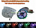 DIGITAL  LED STRIP, RGB STRIP