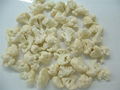 IQF cauliflower 1