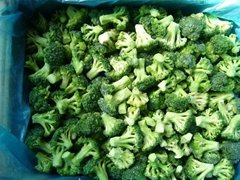 IQF broccoli
