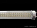 LED Tube Light