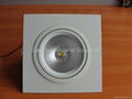 LED Downlight