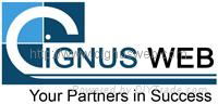 Cignus Web Services
