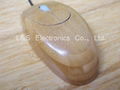 Bamboo Mouse 1