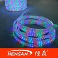 LED rope light/decorative light 3