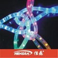 LED rope light/decorative rope light 1