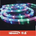 LED rope light/decorative rope light 3