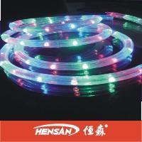 LED rope light/holiday rope light