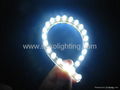 Flexible LED Strip Light (Waterproof &