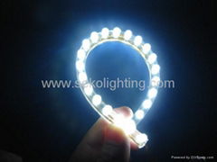 Flexible LED Strip Light (Waterproof & Non-Waterproof)