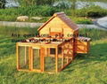 Wooden chicken house