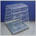 Pet cages 1