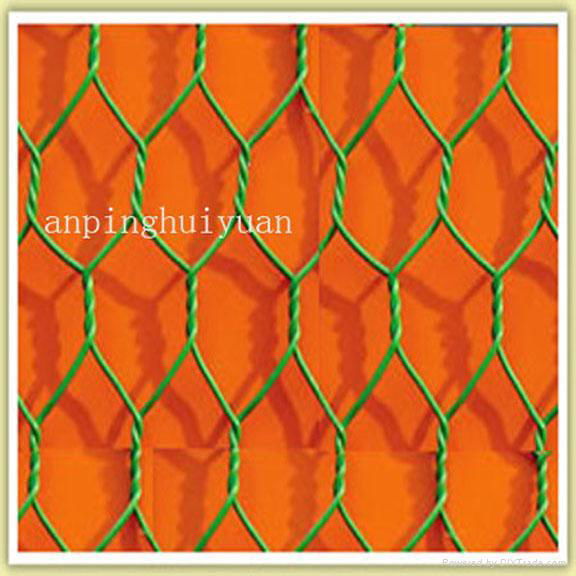 PE&Pvc wire mesh