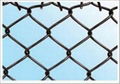 Chain link fence