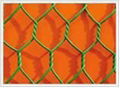 hexagonal wire netting 1