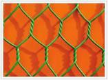 hexagonal wire netting