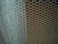 hexagonal wire netting