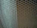 hexagonal wire netting