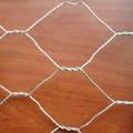 hexagonal wire netting 2