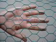 hexagonal wire netting 4