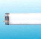 T8/T9/T10/T12 Fluorescent Lamp