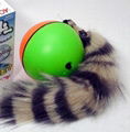 the pet ball 1