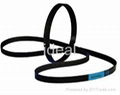 automotive Ribbed belt/PK belt/ poly v belt 2