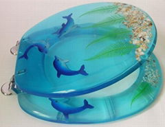 polyresin toilet seat，painting