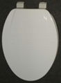 MDF toilet seat with painting，moulded