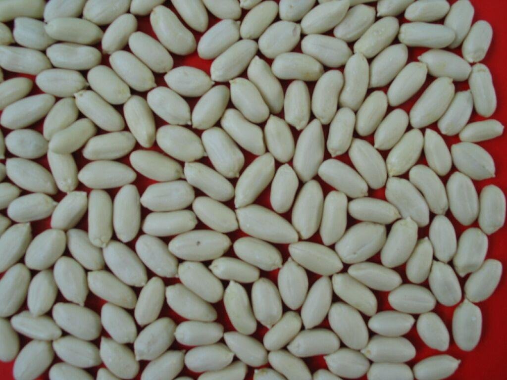 peanut kernels 3