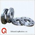 flange 2