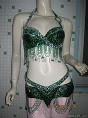 Belly dance costumes / belly dance suite