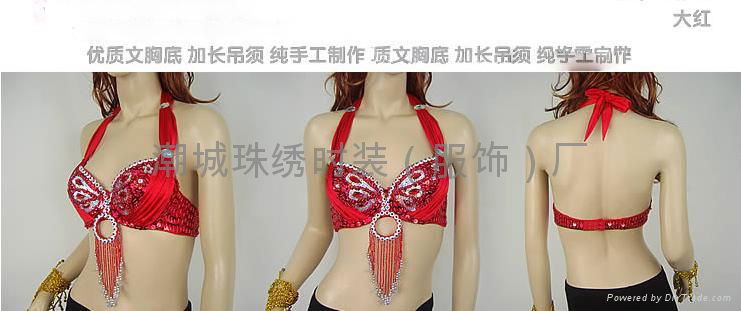 Belly Dance Bra 2