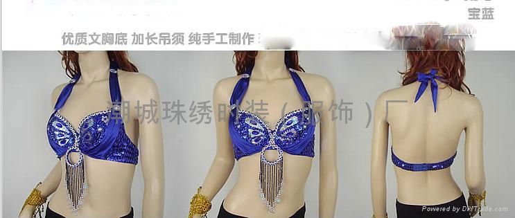 Belly Dance Bra 3