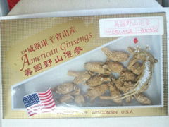 America Ginseng