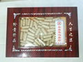 America Ginseng 3