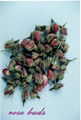 ROSE BUDS