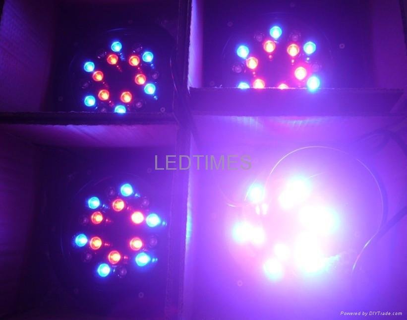 LED Pool light 3