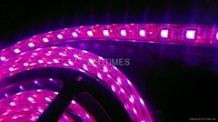LED Flexible strip light