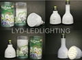 LED Magic bulb 3w