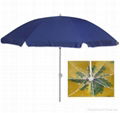 Beach Umbrella ( XB-B2037 ) 1