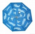 SKY umbrella 3