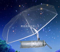 Transparent umbrella