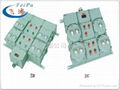 BXM(D)51防爆照明(动力)配电箱