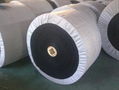 oil resistant conveyor belt