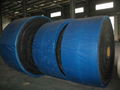 acid and alkali resistant conveyor belt