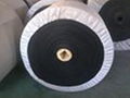 nylon conveyor belt