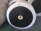 nylon conveyor belt