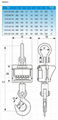 Electronic Crane Scale (OCS-XZ-A) 2